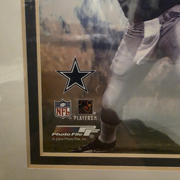 2004 Dallas Cowboys Team Photo Collage (Officially Licensed NFL Collectible) - Picture 5 of 7